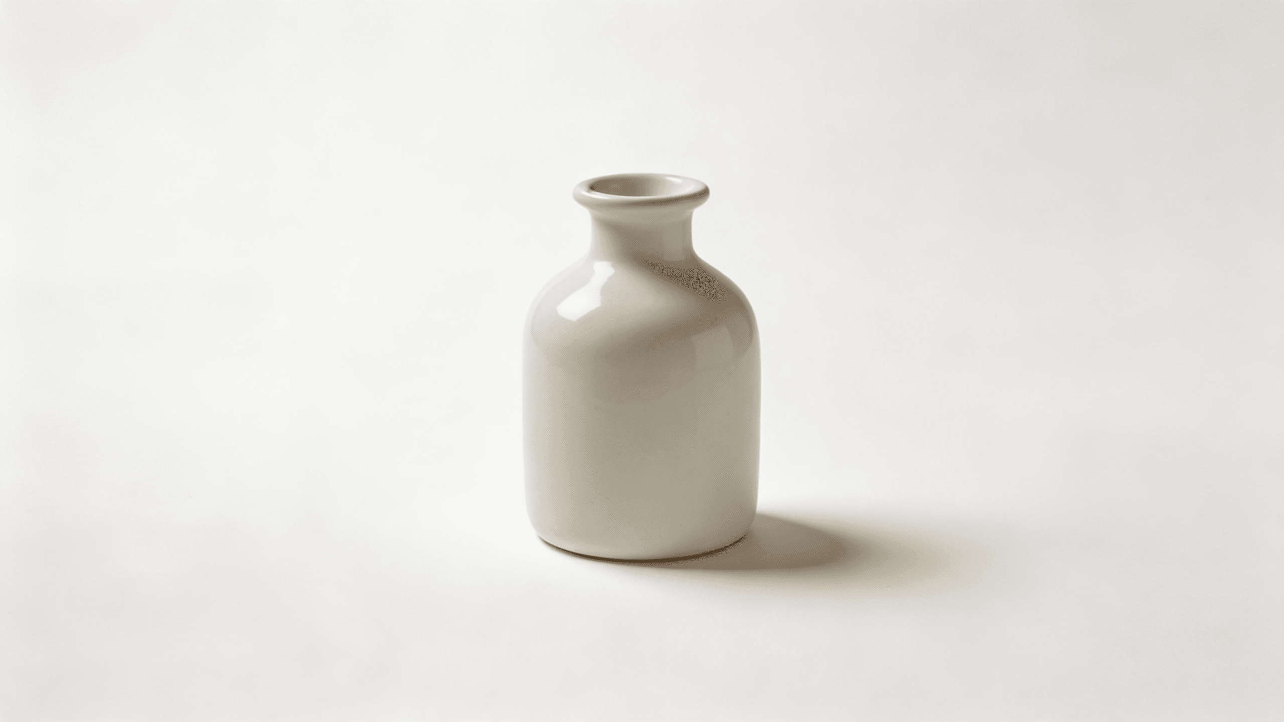 Decorative Porcelain Vase