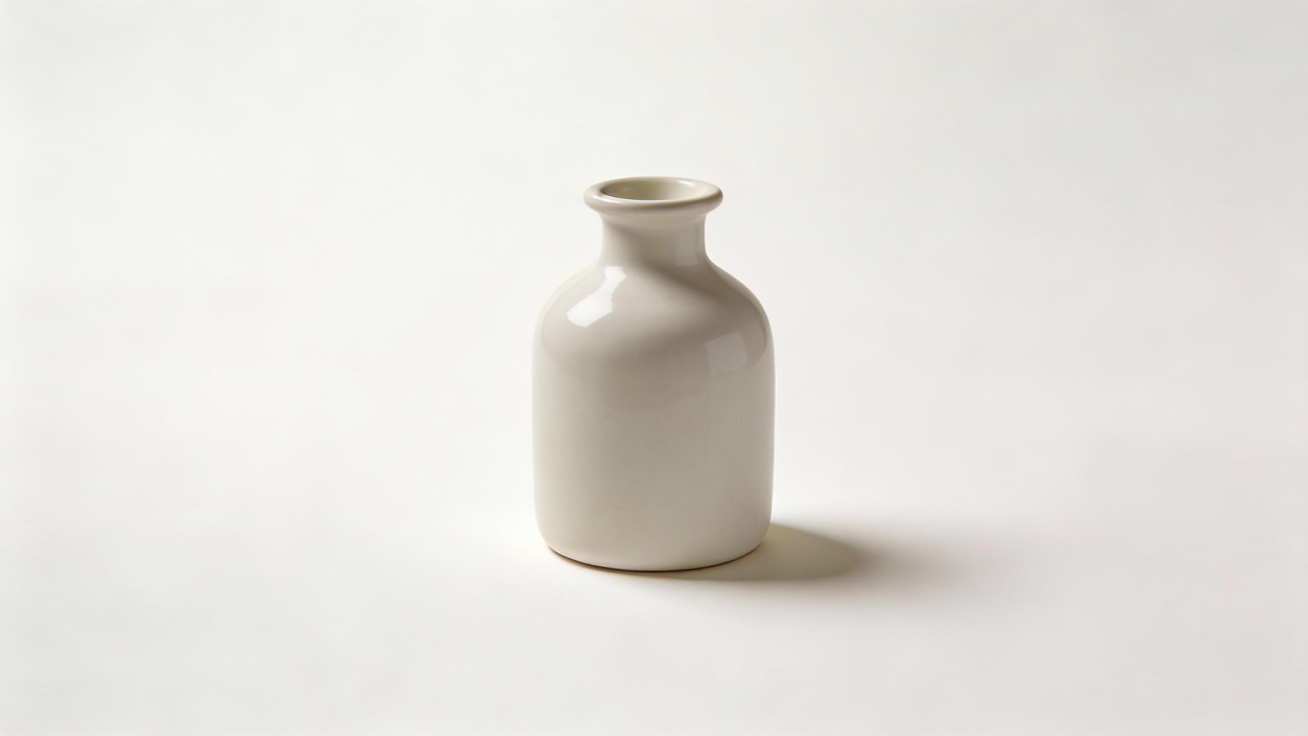 Decorative Porcelain Vase