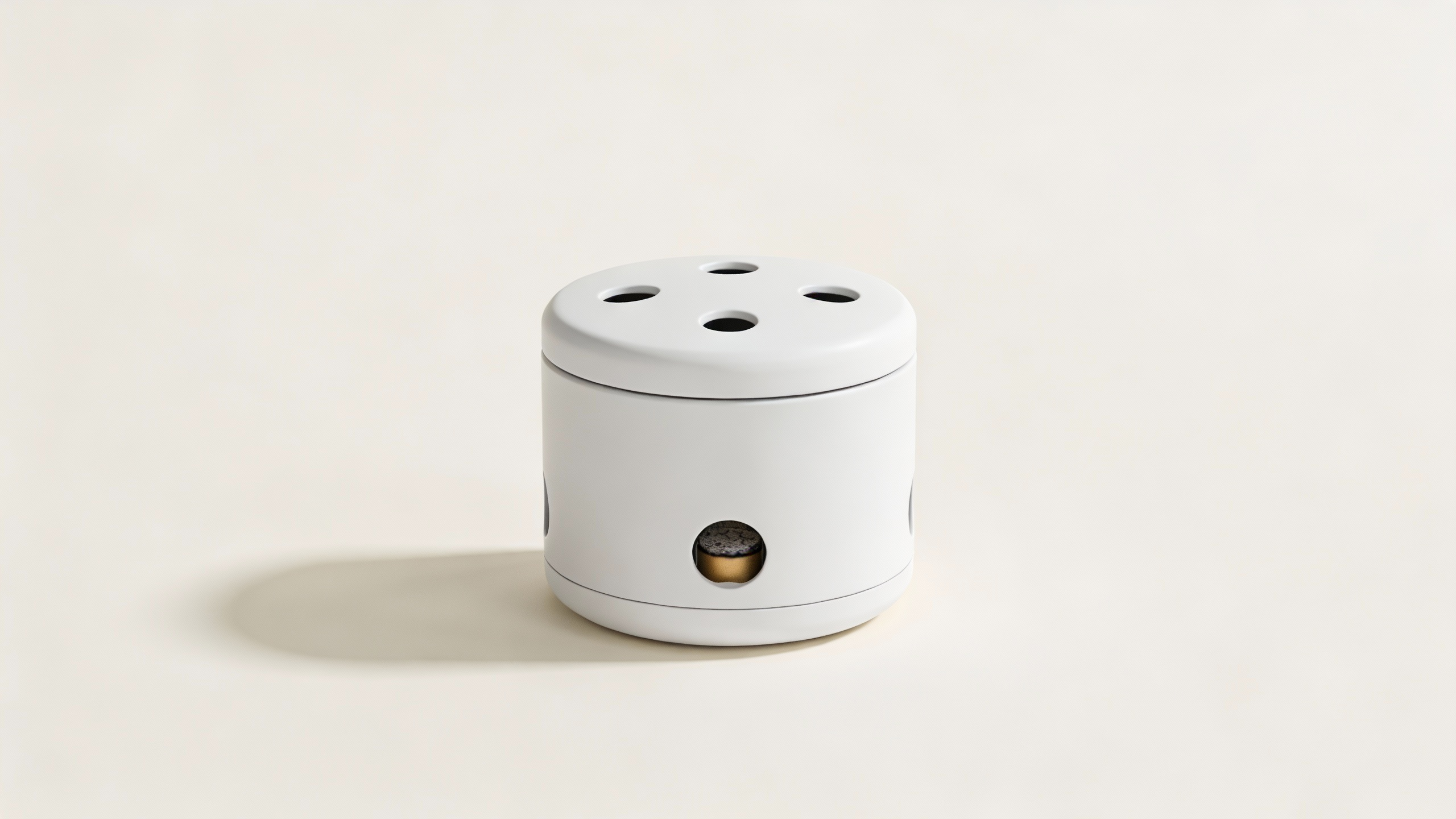 Traditional Moxibustion Kit